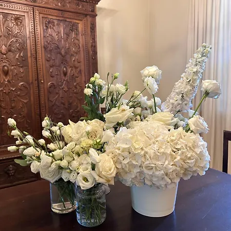 Teresa بورغو سان دالمازو