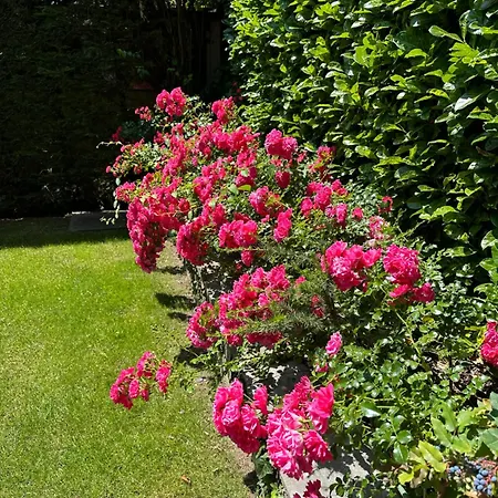 بيت ضيافة Teresa