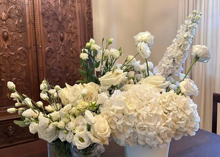 Teresa بورغو سان دالمازو