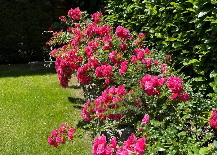 بيت ضيافة Teresa